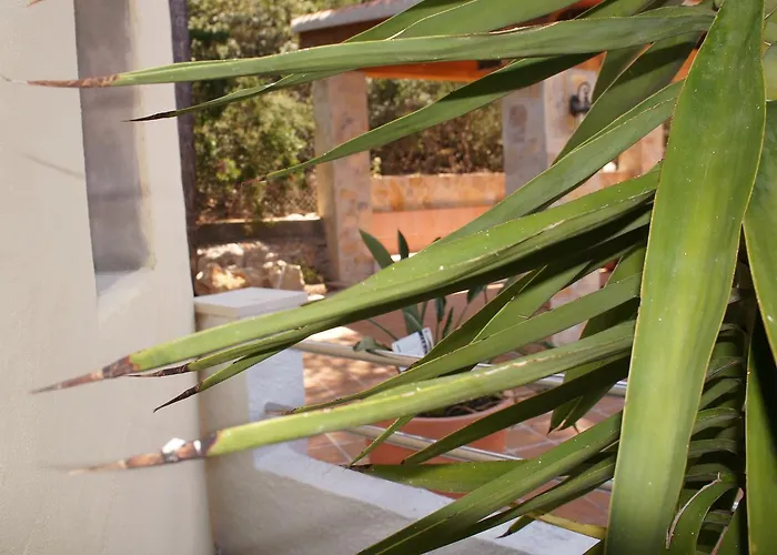 Isabella * デニア