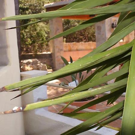 Isabella * 德尼亚